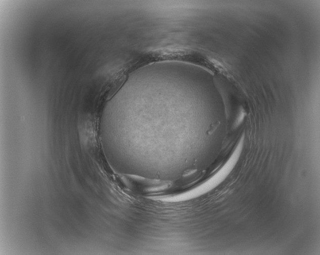 X0000065981300200603031144