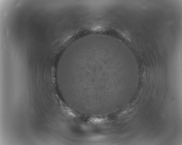 X0000065981301200603031144