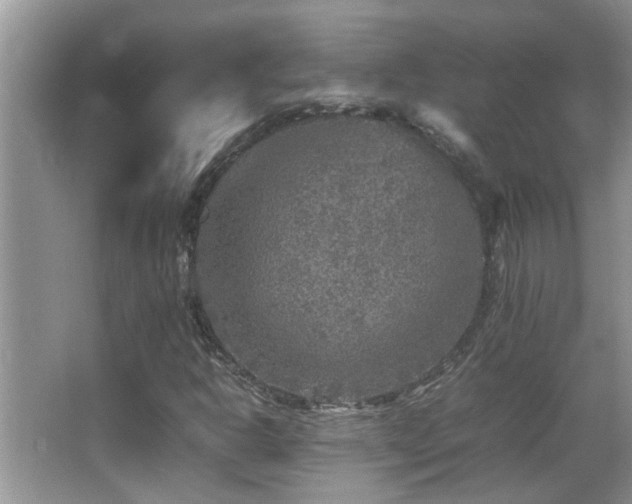 X0000065981302200603031144