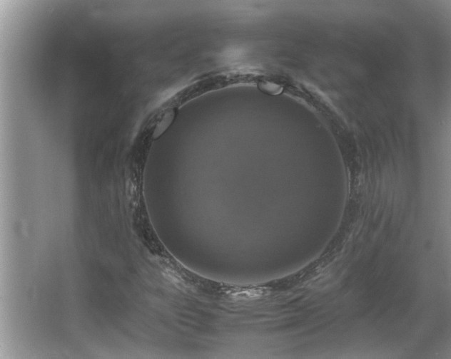 X0000065981303200603031144