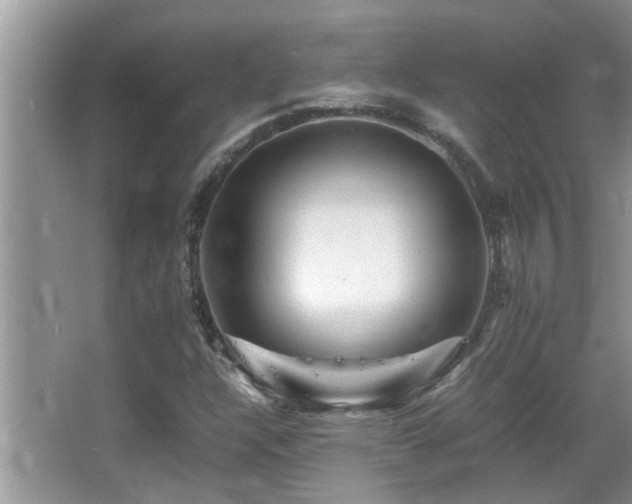 X0000065981304200603031144