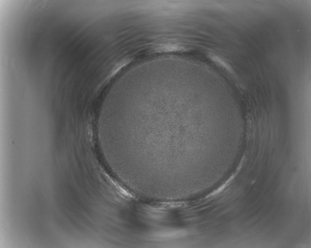 X0000065981305200603031144