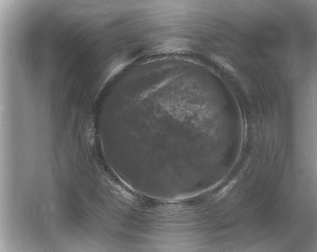 X0000065981306200603031144