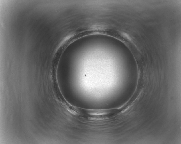 X0000065981307200603031144