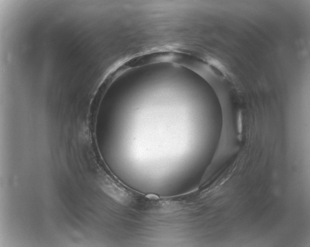 X0000065981308200603031144