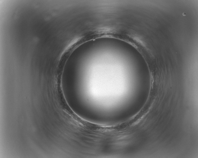 X0000065981309200603031144