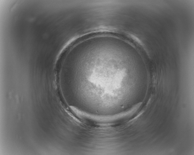 X0000065981310200603031144