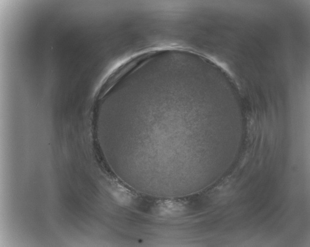 X0000065981311200603031144