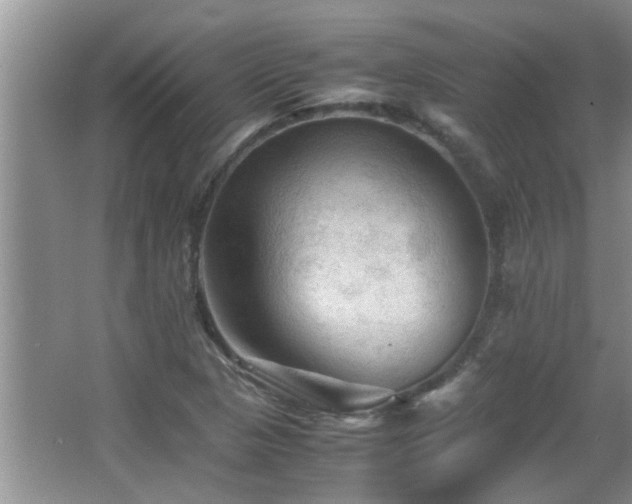 X0000065981313200603031144