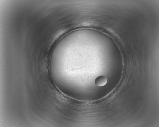 X0000065981314200603031144