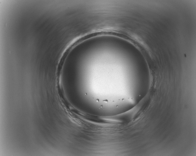 X0000065981316200603031144