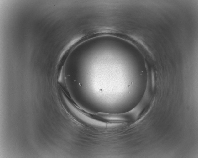 X0000065981317200603031144