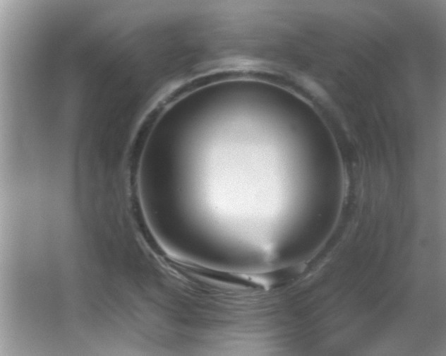 X0000065981318200603031144