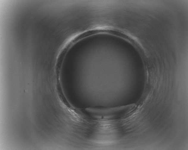 X0000065981319200603031144