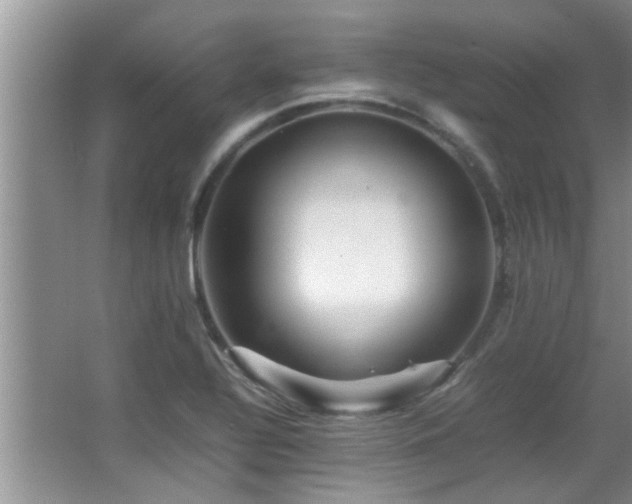 X0000065981320200603031144