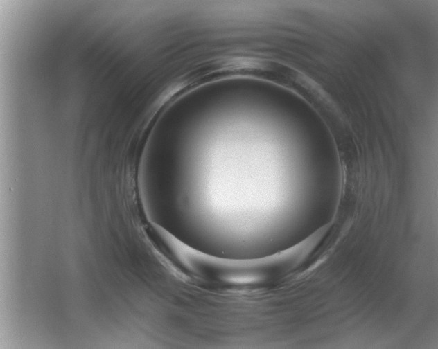 X0000065981321200603031144