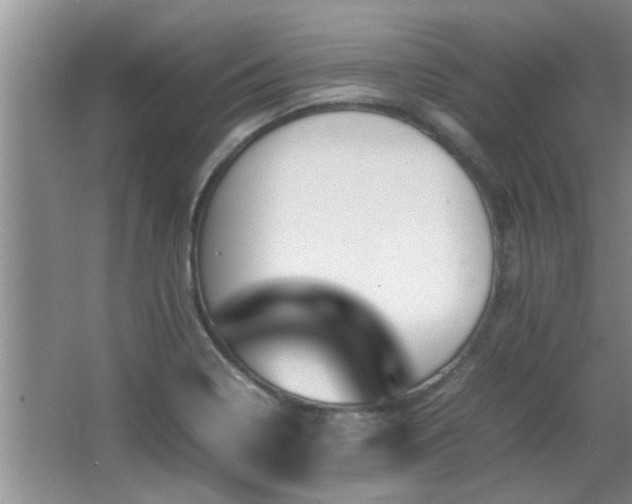 X0000065981322200603031144