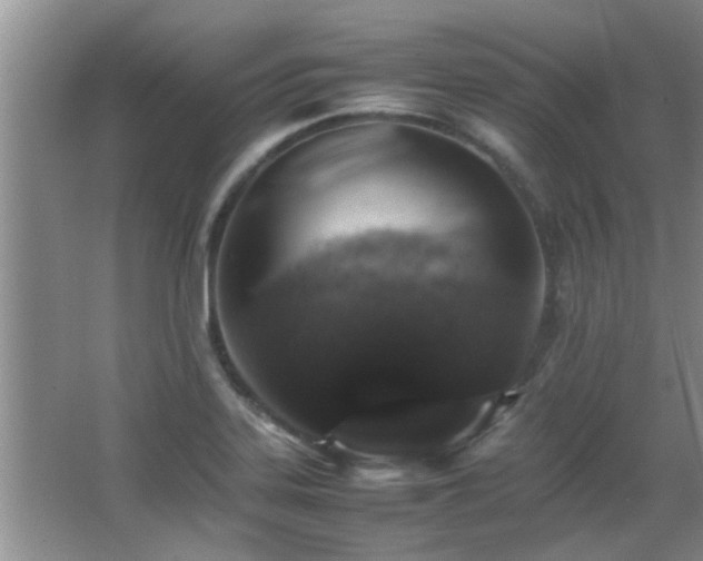 X0000065981323200603031144