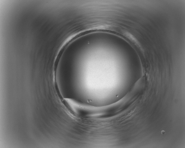 X0000065981324200603031144