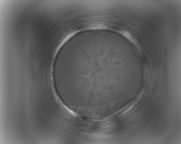 X0000065981325200603031144