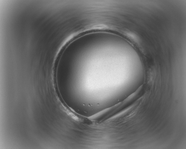 X0000065981326200603031144