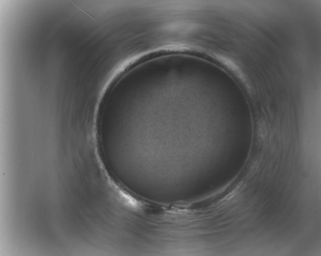 X0000065981327200603031144