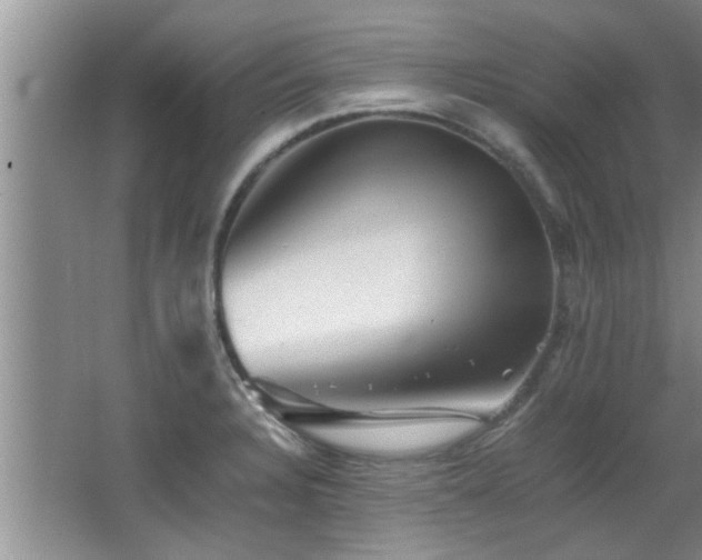 X0000065981328200603031144