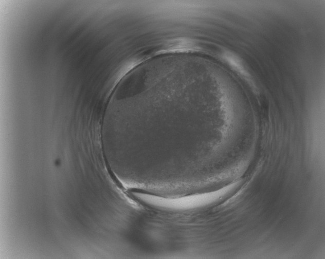 X0000065981329200603031144