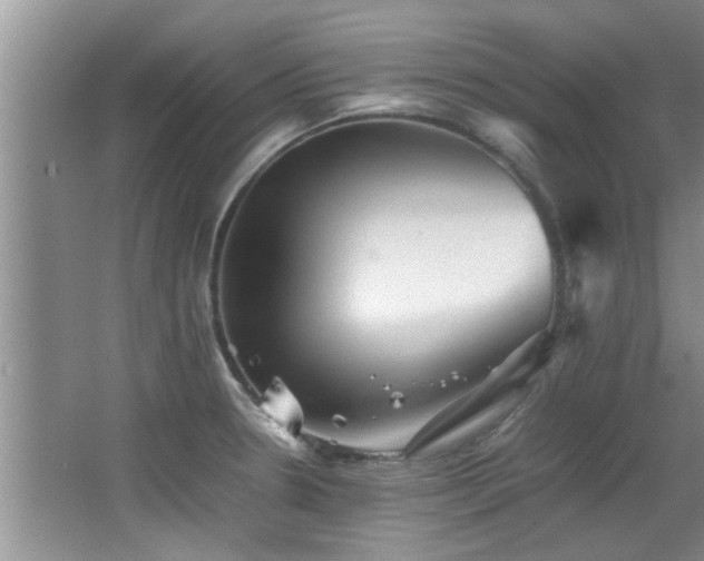 X0000065981330200603031144