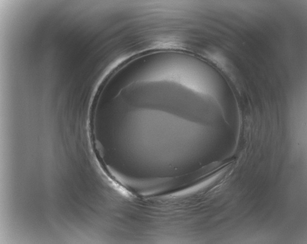 X0000065981331200603031144