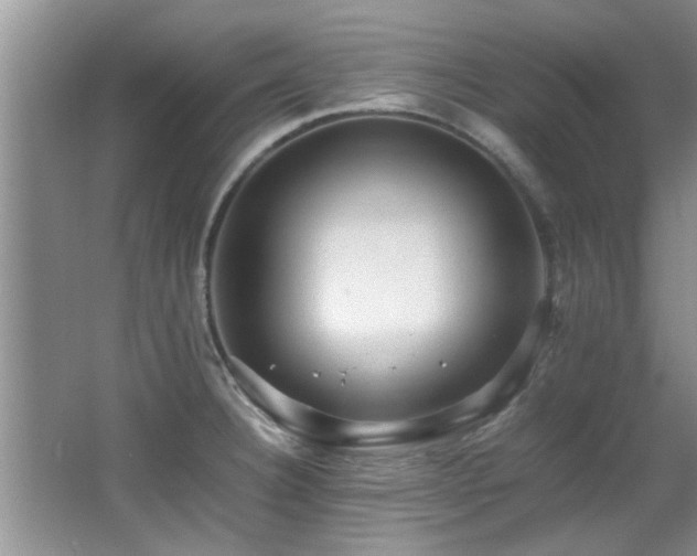 X0000065981332200603031144