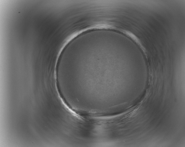 X0000065981335200603031145