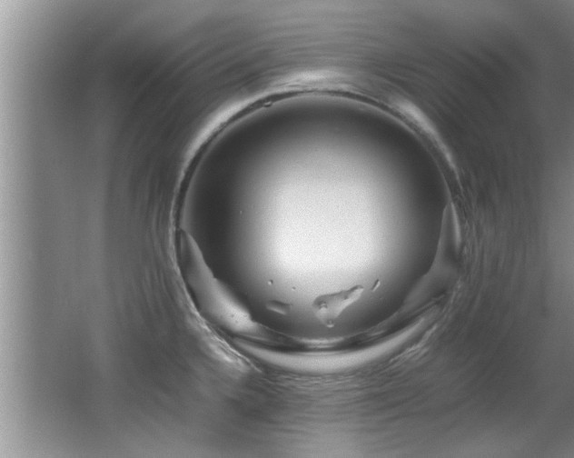 X0000065981336200603031145