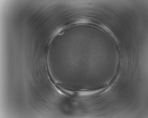 X0000065981337200603031145