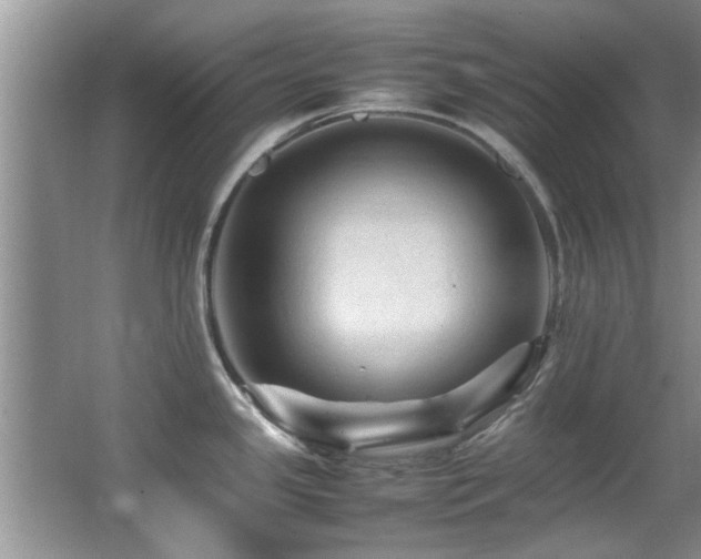 X0000065981341200603031145