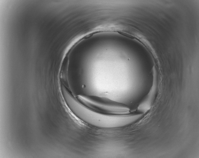 X0000065981344200603031145