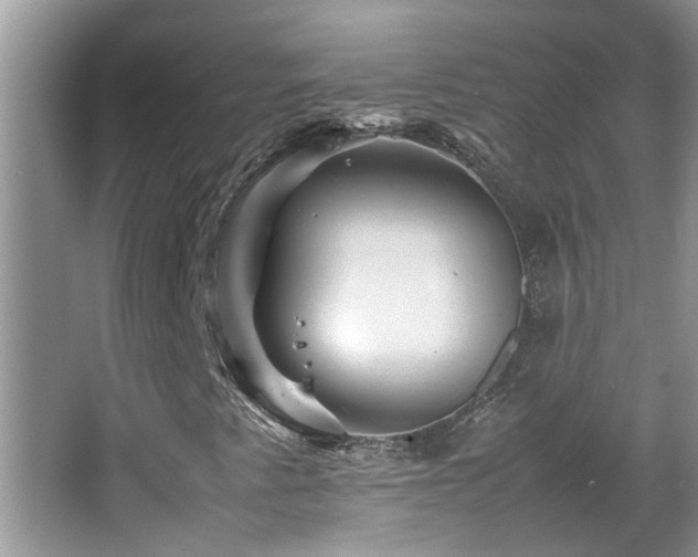 X0000065981345200603031144