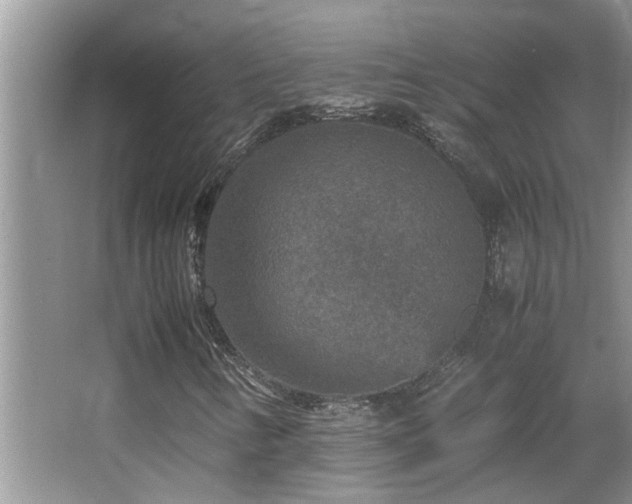 X0000065981346200603031144