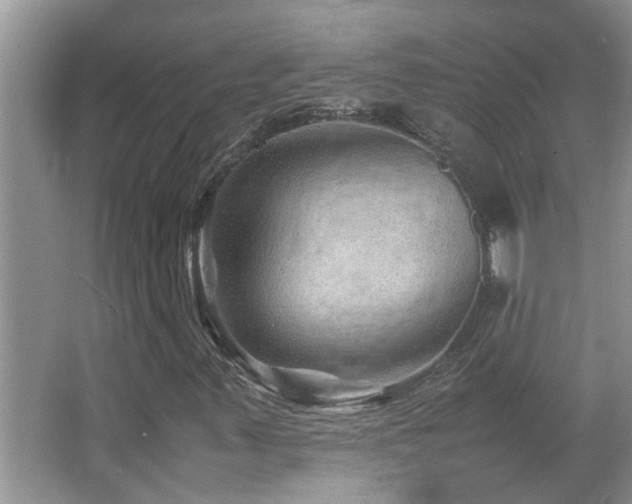 X0000065981347200603031144