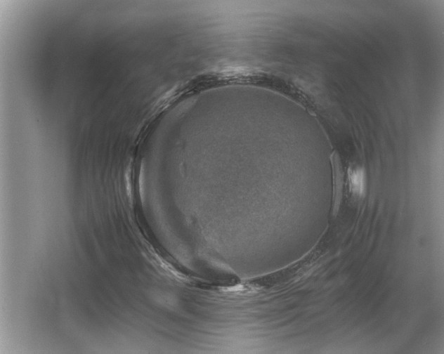 X0000065981348200603031144