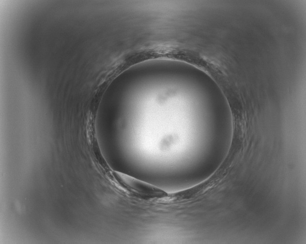 X0000065981349200603031144