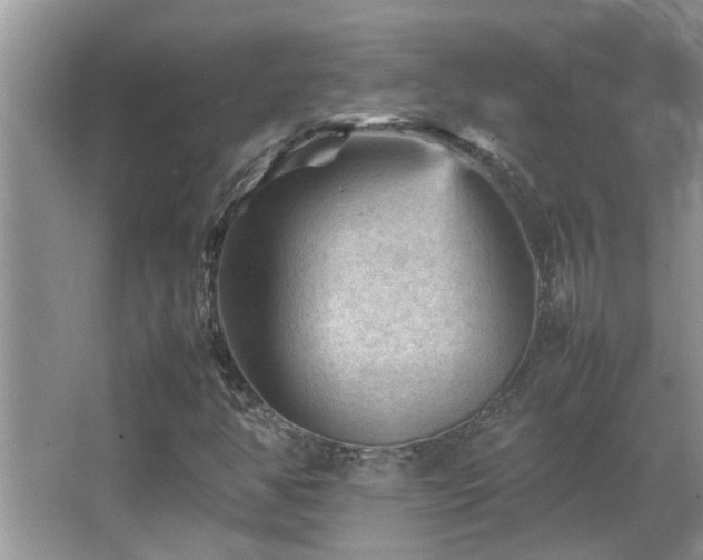 X0000065981350200603031144