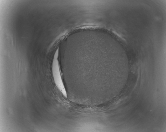 X0000065981351200603031144