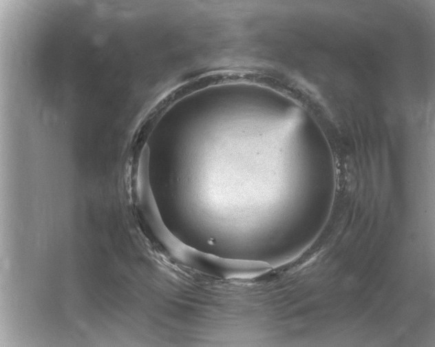 X0000065981352200603031144