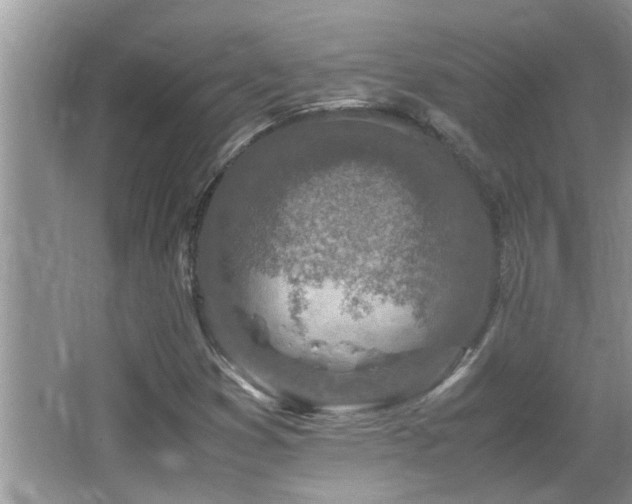 X0000065981353200603031144