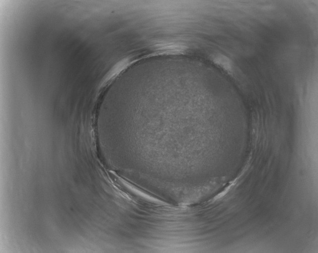 X0000065981354200603031144