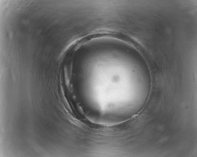 X0000065981355200603031144