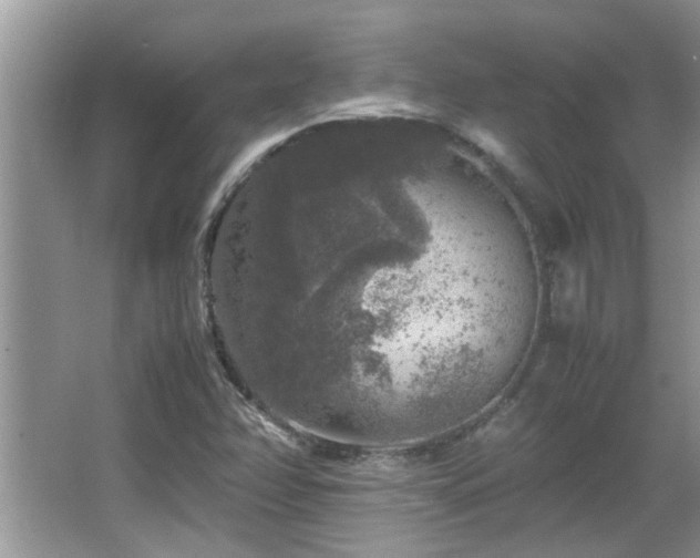 X0000065981358200603031144