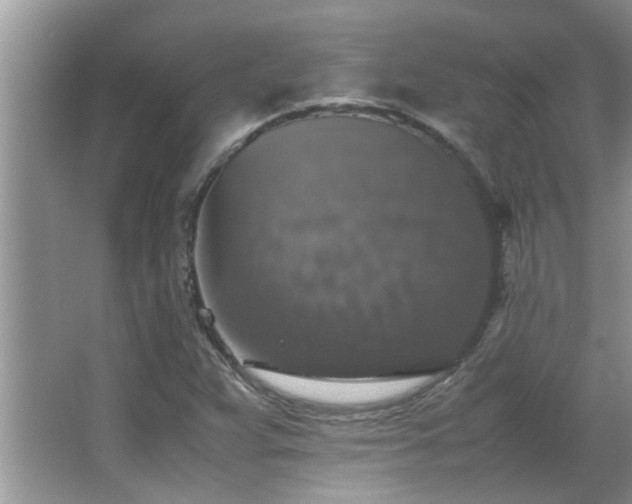 X0000065981359200603031144