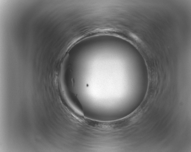 X0000065981361200603031144